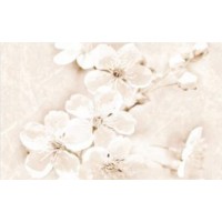Декор для стен Cersanit Sofi inserto flower 25x40 